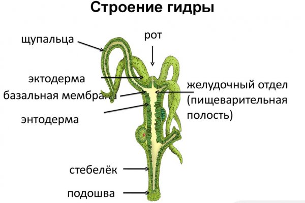 Kraken ссылка tor