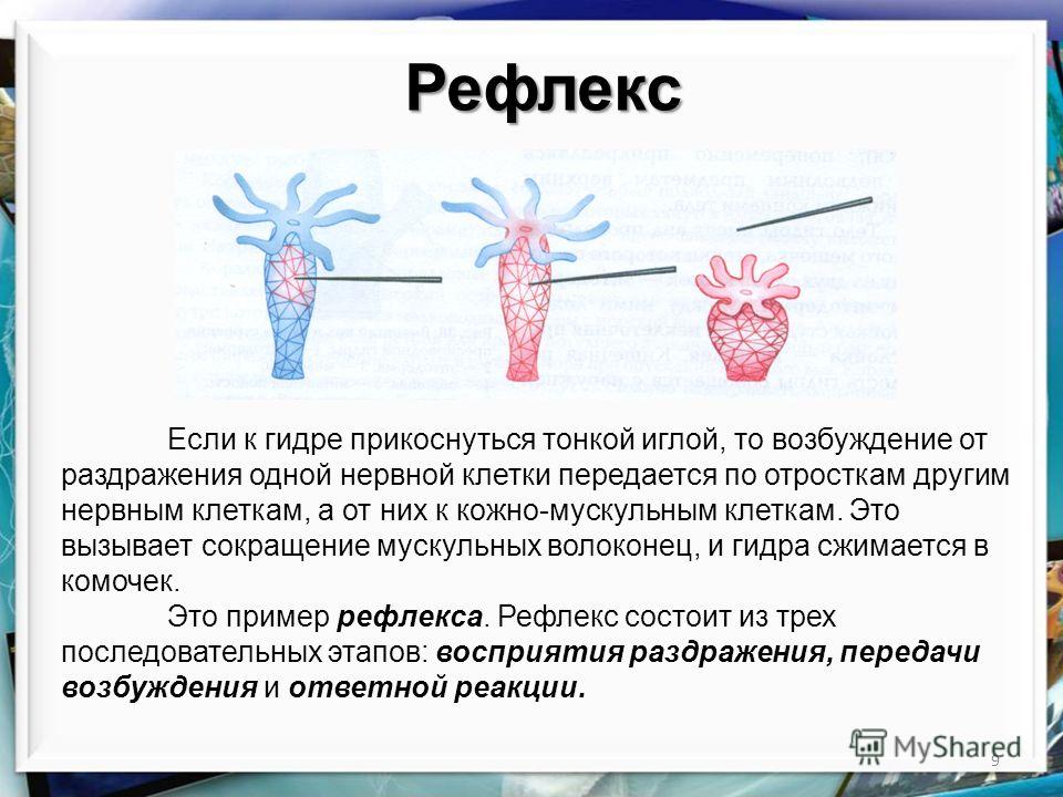 Кракен не приходят деньги